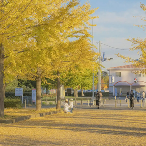 91视频网站入口
