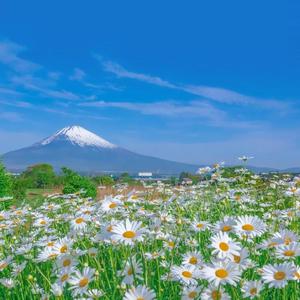 91视频网站入口
