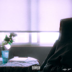 91视频网站入口
