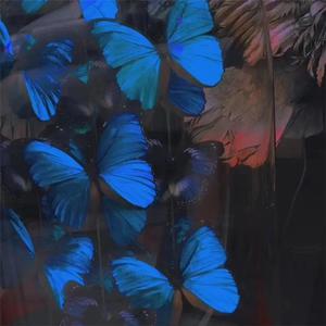 91视频网站入口
