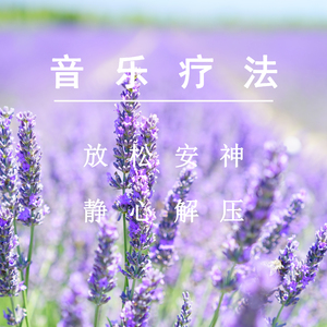 91视频网站入口
